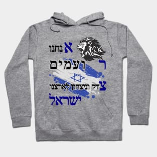 Justice and victory for Israel Hoodie